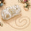 Swisni Luxury Hand-Embroidered Designer Clutch Bag | SWIS-1018