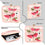 Swisni Premium Printed Luxury Clutch Bag | SWIS-402