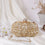 Swisni Luxury Hand-Embroidered Designer Clutch Bag | SWIS-426