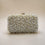 Swisni Luxury Hand-Embroidered Designer Clutch Bag | SWIS-4313