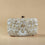 Swisni Luxury Hand-Embroidered Designer Clutch Bag | SWIS-4393